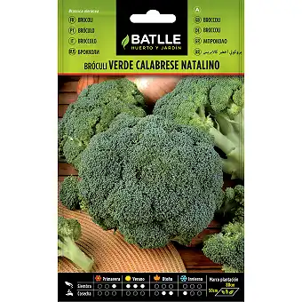 Semi di broccoli 8gr.