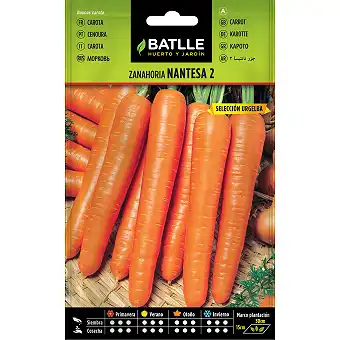 Natense Early Carrot Seeds10gr.