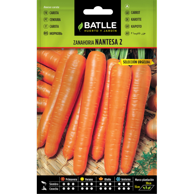 Graines de carotte Natense Précoce 10gr.