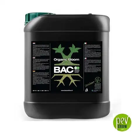 Organic Bloom