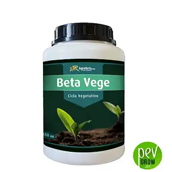 Beta Vege Agrobeta 1