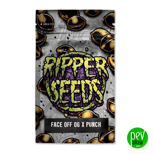 Face Off x Purple Punch - Ripper Seeds