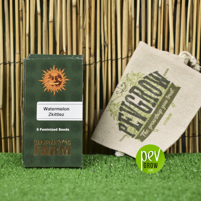 Packaging of Barneys Farm's Watermelon Zkittlez variety resting on a reed and green grass.