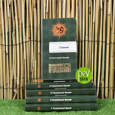 Cheese de Barneys Farm ,18% THC