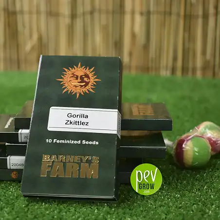 Gorilla Zkittlez package - Barney's Farm