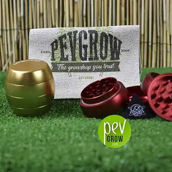 Grinder Champ High Original 1