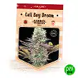 Cali Bay Dream - Garden Of Green