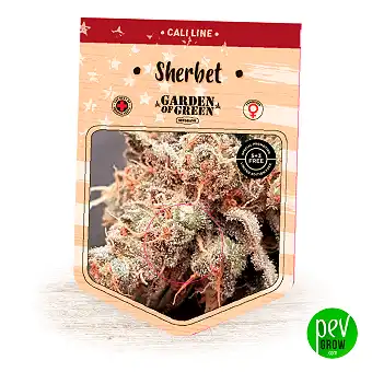 Sherbet - Garden Of Green