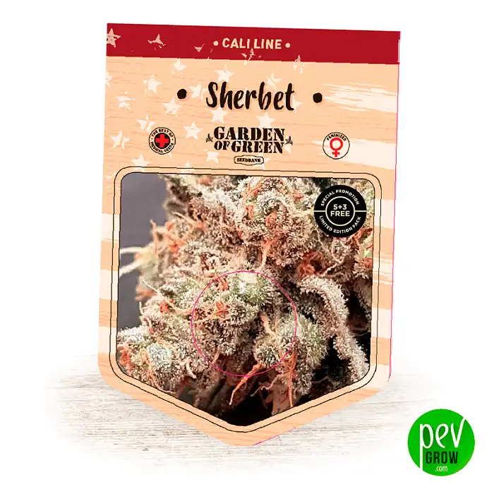 Sherbet - Garden Of Green