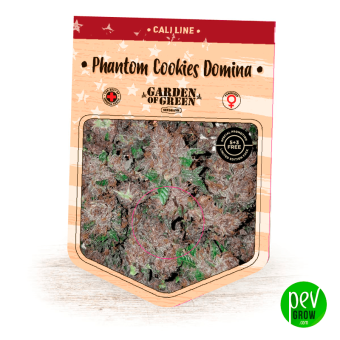 Phantom Cookies Domina - Garden Of Green