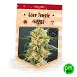 Sour Tangie - Garden Of Green Sour Tangie - Garden Of Green