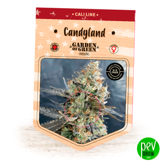 Candyland Garden Of Green