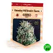 Chemdog Millionaire Guava - Garden Of Green