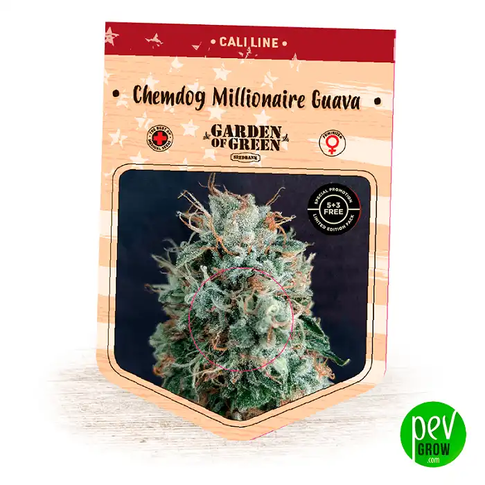 Chemdog Millionaire Guava - Garden Of Green