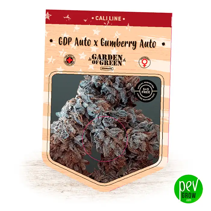 GDP Auto x Gumberry Auto - Garden Of Green