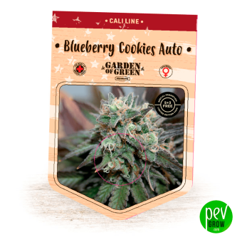 Blueberry Cookies Auto - Garden Of Green