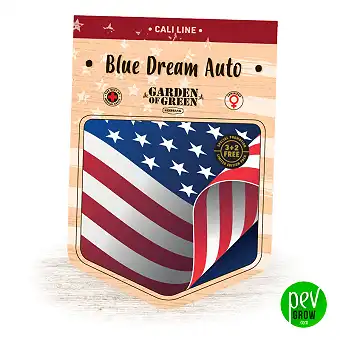 Blue Dream Auto - Garden Of Green