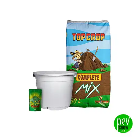 Kit outdoor Feminisées 5