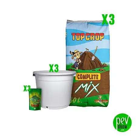 Kit outdoor Feminisées