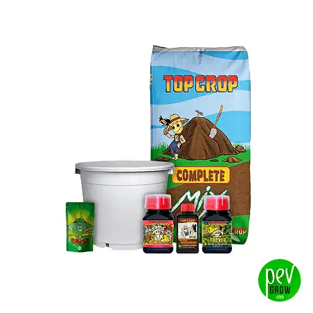 Kit exterior feminizadas 2