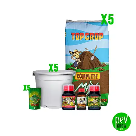 Kit exterior feminizadas 4