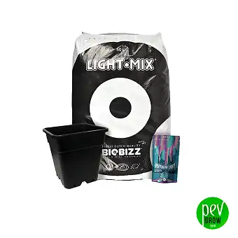 Autoflowering outdoor kit 5