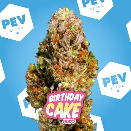Birthday Cake Auto - PEV Seeds
