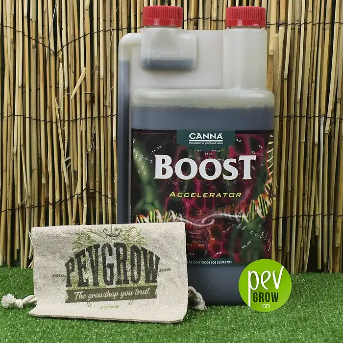 Boost Accelerator Canna