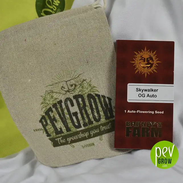 Skywalker Og Auto variety of Barneys Farm in original format of 1 seed in white background with a bag of hemp of Pevgrow.