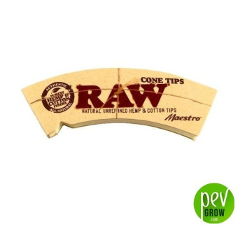 Raw Tips Cone Maestro