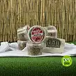 Pandora Magic Truffle Growing Kit