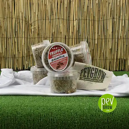 Kit di Coltivazione per Tartufi Magici Pajaritos