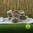 Mexicana Magic Truffle Cultivation Kit