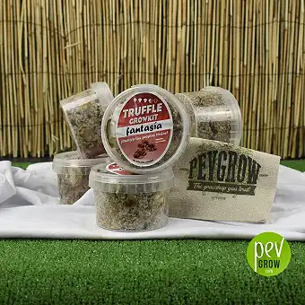 Fantasy Magic Truffle Grow Kit