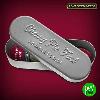 Cherry Pie Fast - Advanced Seeds