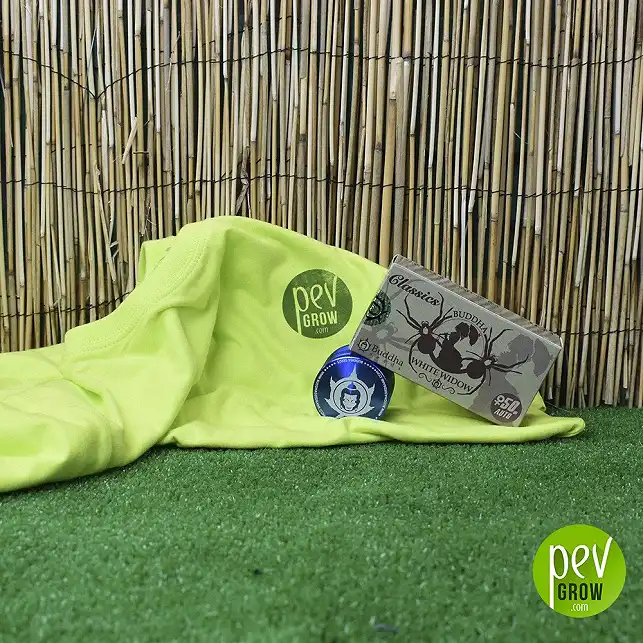 Buddha White Widow Classic - Buddha Seeds