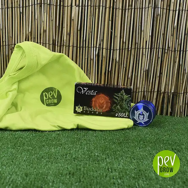 Vesta de Buddha Seeds