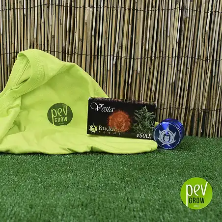 Vesta de Buddha Seeds