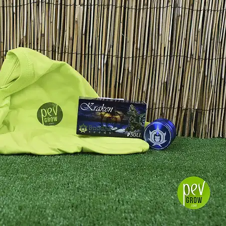 Kraken de Buddha Seeds