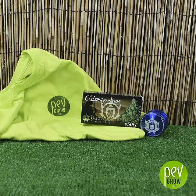 Calamity Jane Auto - Buddha Seeds