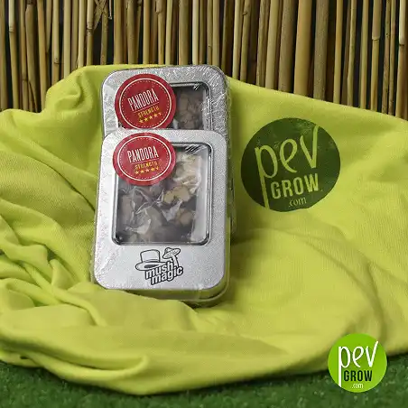 Truffes Magiques Pandora 1