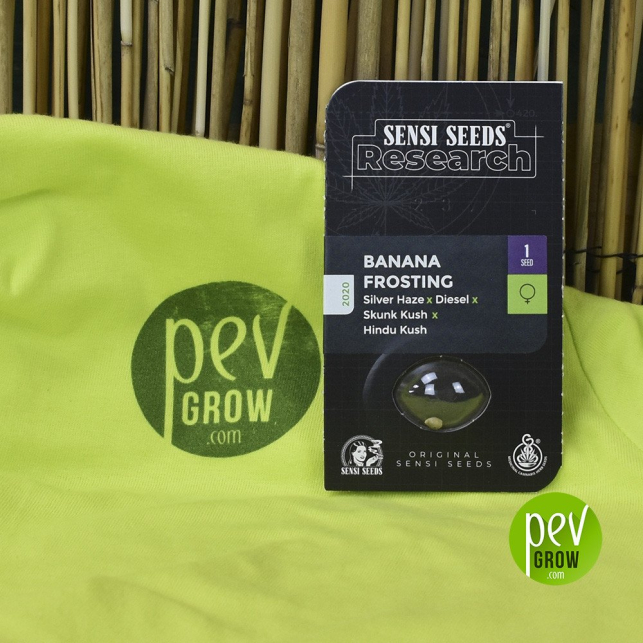 Banana Frosting Research Sensi Seeds