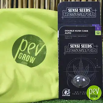 Double Kush Cake Auto Sensi Seeds Research