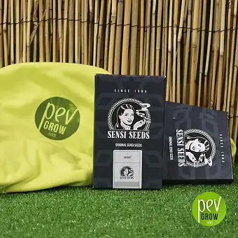 Big Bud Automatic de Sensi seeds