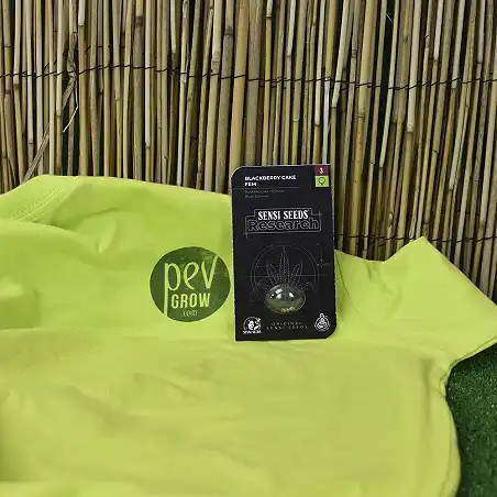 Blackberry Cake - Sensi Seeds 1