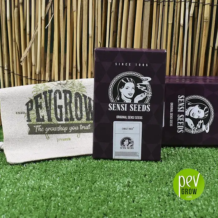 Cobalt Haze de Sensi Seeds