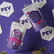 Slurricane (Dosidos x Purple Punch) - PEV Seeds 1 Slurricane (Dosidos x Purple Punch) - PEV Seeds 1