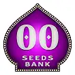 Autofloración Mix - 00 Seeds
