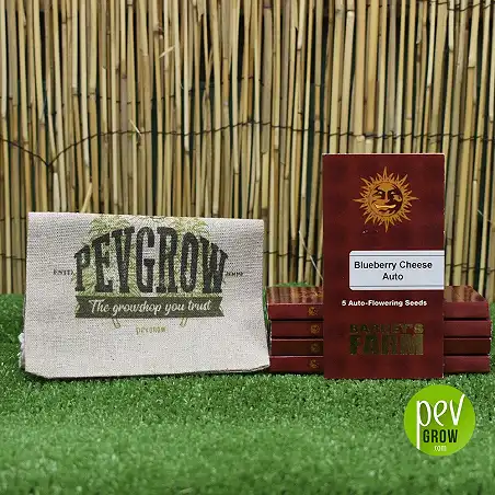 Blueberry Cheese Auto Barneys Farm 5