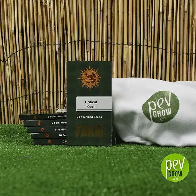 Image of the original Barneys Farm packaging, in a small dark green cardboard container.